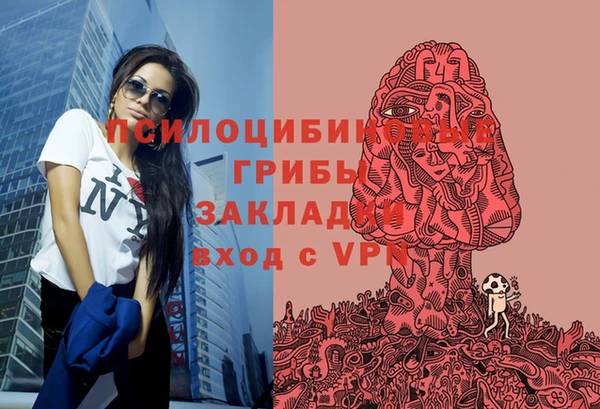 mix Пионерский