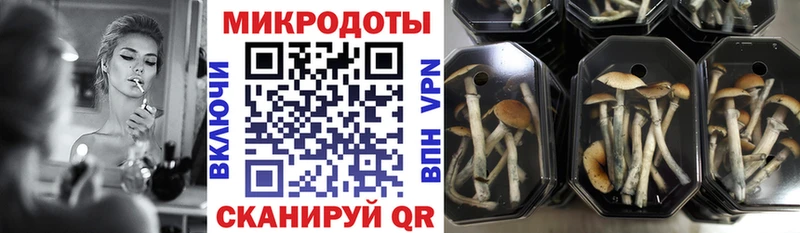 кракен рабочий сайт  Старый Оскол  Псилоцибиновые грибы ЛСД 