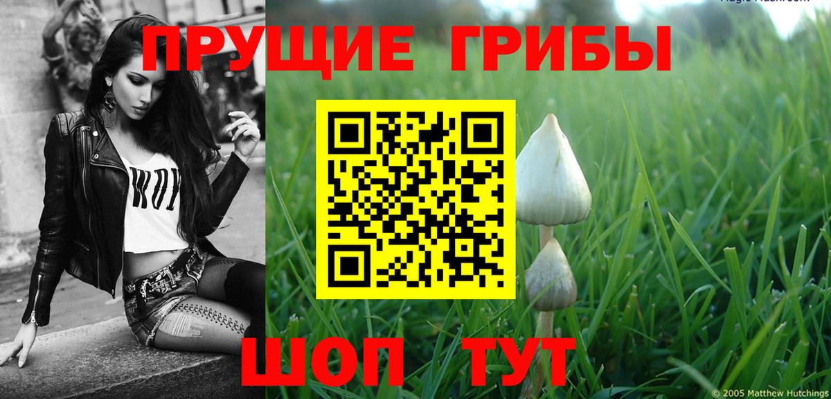 Галлюциногенные грибы MAGIC MUSHROOMS Старый Оскол